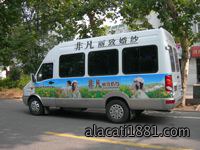车身广告－全车贴